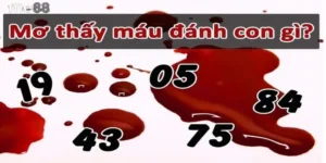Lưu ý khi luận số từ giấc mơ thấy máu đánh con gì